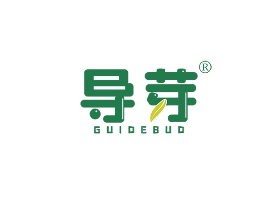 导芽 GUIDE BUD