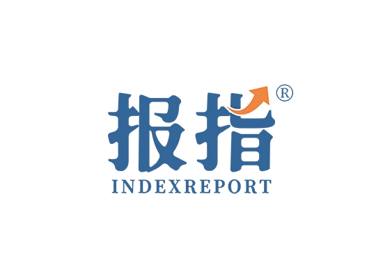 报指 INDEXREPORT